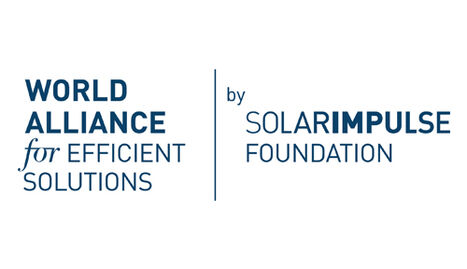 World Alliance Efficient Solutions